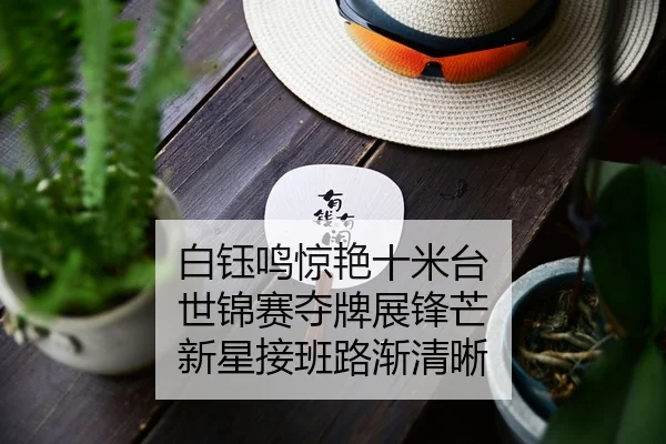 bai-yu-ming-jing-yan-shi-mi-tai-shi-jin-sai-duo-pai-zhan-feng-mang-xin-xing-jie-ban-lu-jian-qing-xi-1-160.jpg
